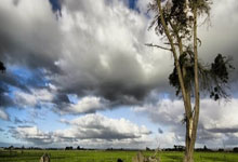意甲：豪取五连胜 尤文图斯队2-0维罗纳队.：蜂鸟电竞