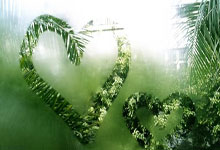 提前获世界杯门票 阿根廷4比1大胜巴西锦上添花.